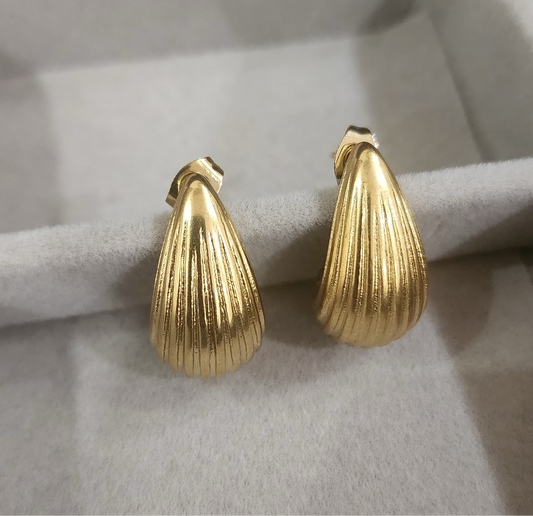 Sea Shell Earrings