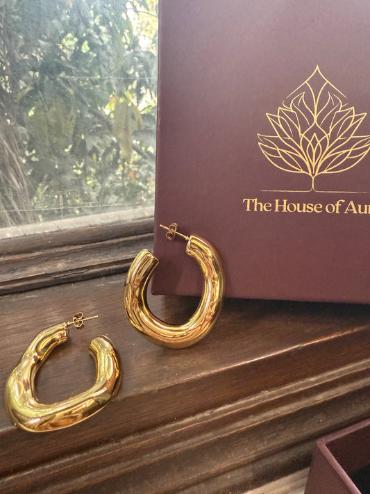 Long Loop Earringsn