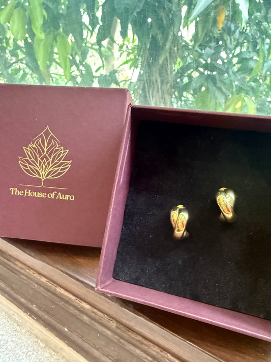 Golden Leaf Curve Earrings