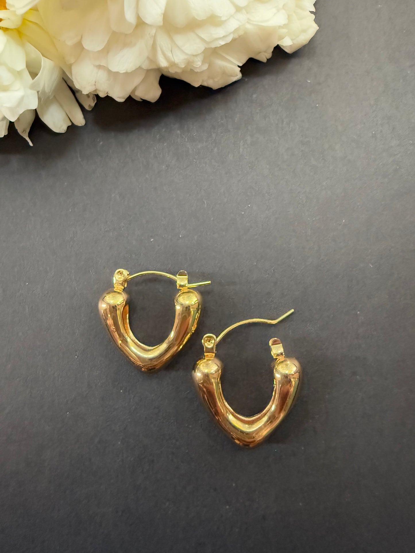 V Shaped Earrings