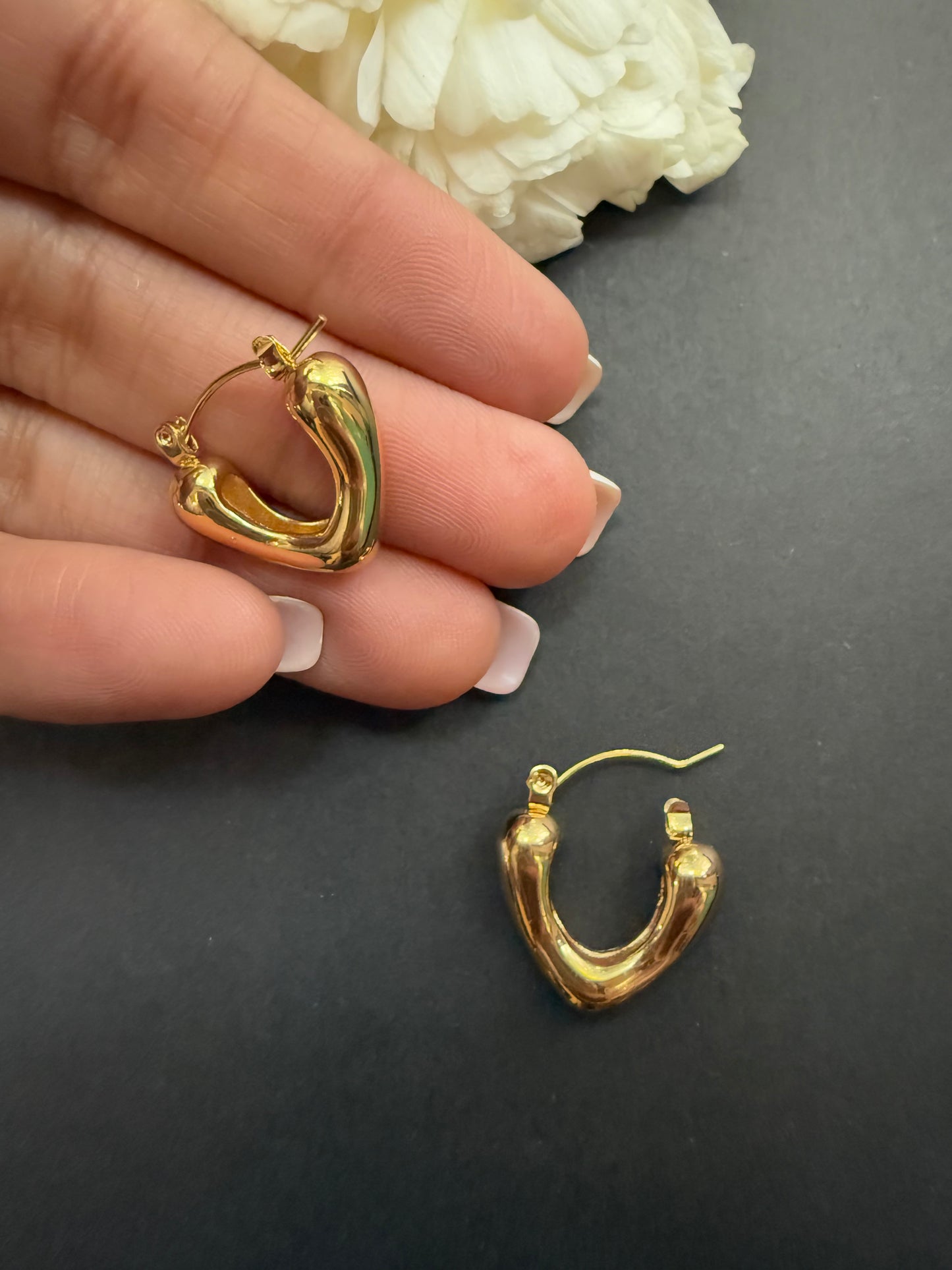 V Shaped Earrings
